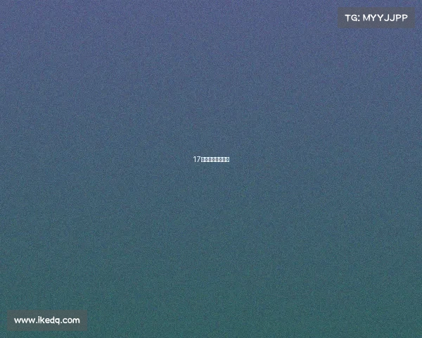 17年世界赛冠军是谁